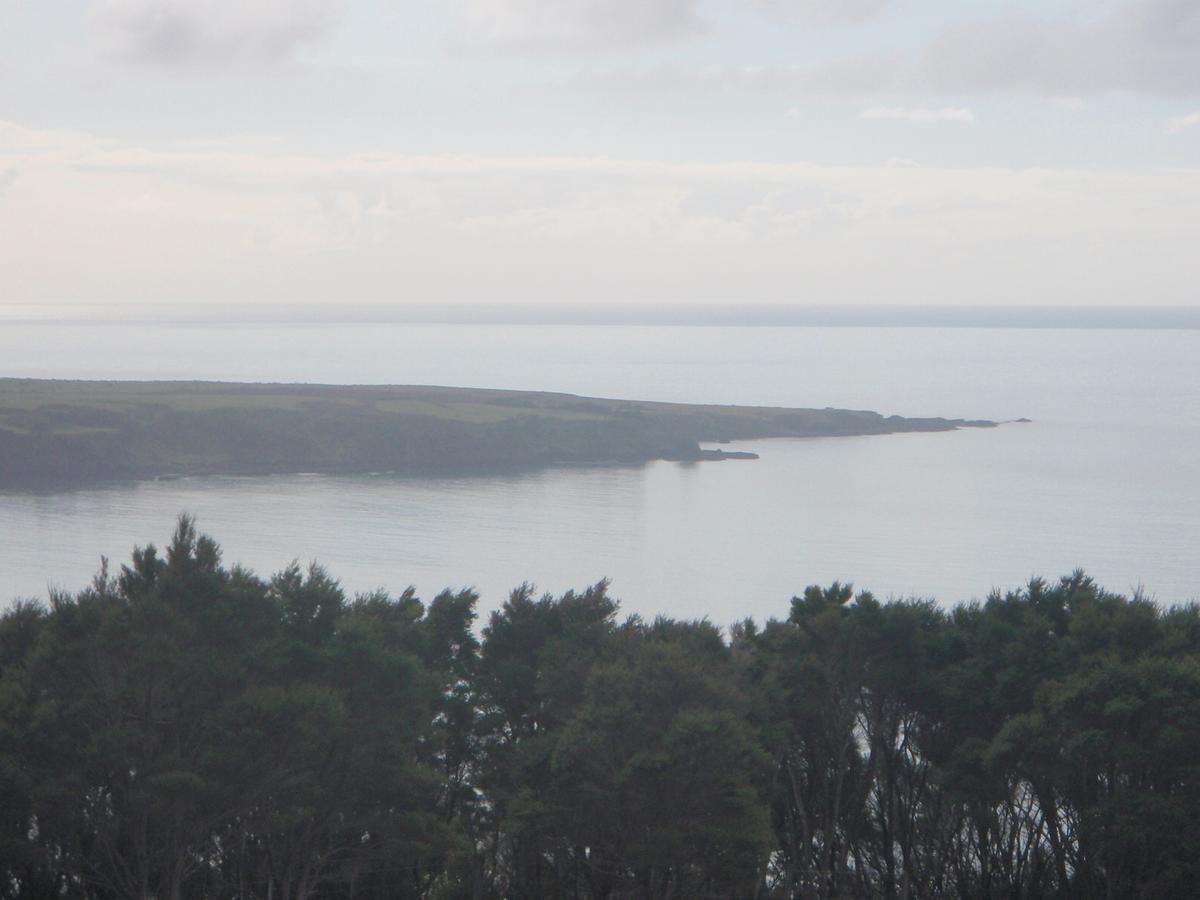 Nga Puriri Bed And Breakfast Hicks Bay Luaran gambar