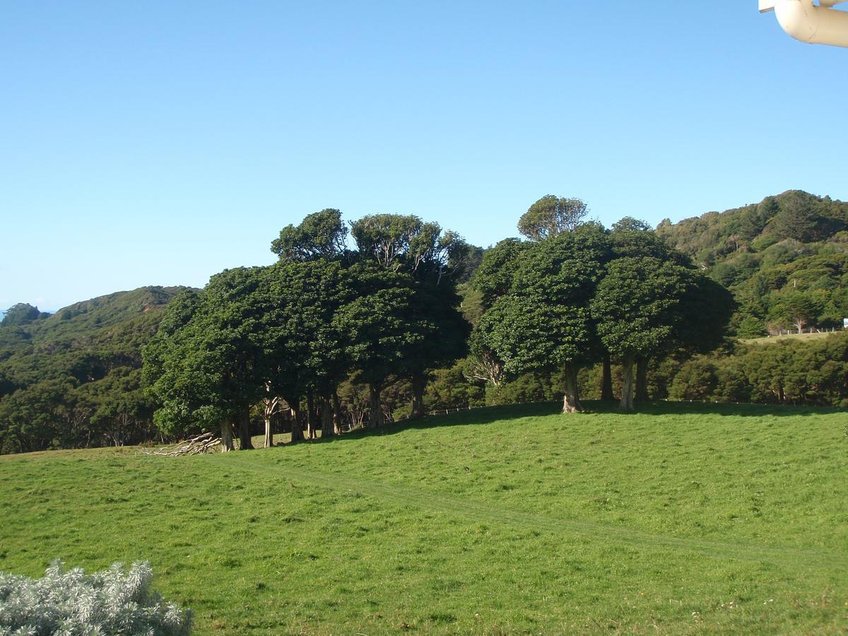 Nga Puriri Bed And Breakfast Hicks Bay Luaran gambar